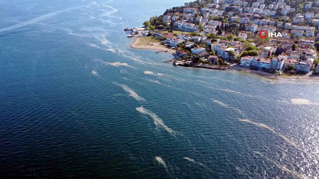 Kabus geri döndü: Bir anda beyaz tabakayla kaplandı! Çevre kirliliği had safhada 2